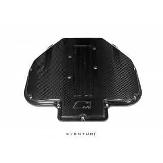 Coperchio Plenum in carbonio Eventuri EVE-S62-CF-PLM BMW S62 V8