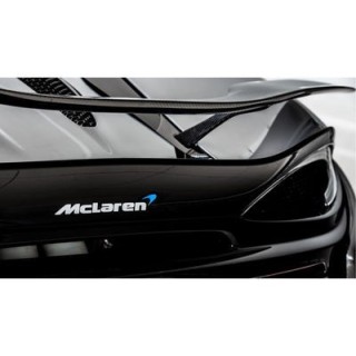 Keramikbeschichteter Sportauspuff mit Titanoption Mclaren 570S 2015 auf Quicksilver