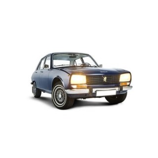 Quicksilver Edelstahl-Auspuff Peugeot 504 Coupe Cabrio V6 1975–83