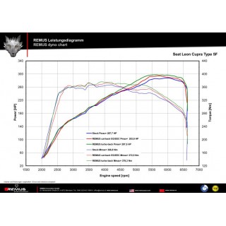 Scarico Sportivo Posteriore Remus Per Seat Leon TypE 5F 2.0l TSI, Cupra 213kW 2014 CJXH