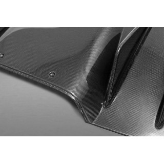 Capristo Ferrari 458 carbon rear diffuser