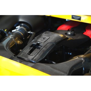 Capristo Ferrari 488 Carbon Airbox and Lock Cover Set