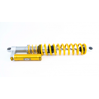 Kit sospensioni Ohlins Off Road/Rally Raid 18/50 660/220